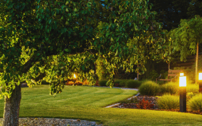 The Benefits of Professional Landscape Lighting for Your Outdoor Space