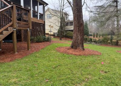 Nature's Canvas Landscape Install Johns Creek Georgia