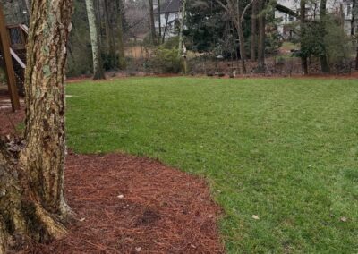 Nature's Canvas Landscape Install Johns Creek Georgia