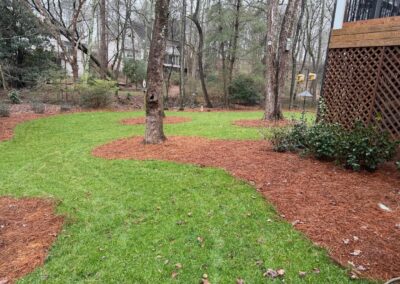 Nature's Canvas Landscape Install Johns Creek Georgia